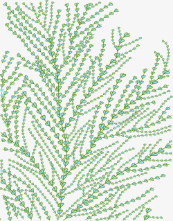 海洋绿植手绘藻类矢量图高清图片