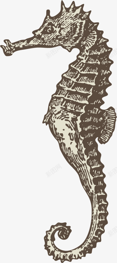 海洋动物手绘素描png免抠素材_新图网 https://ixintu.com 平面设计 手绘 海洋动物 素描 鳄鱼