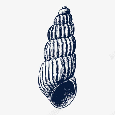 手绘黑色海洋生物海螺贝壳装饰图标图标