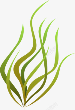 一丛海草海洋植物绿色海草高清图片
