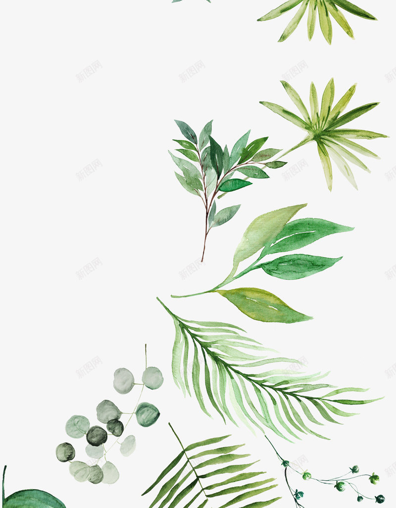 水彩卡通植物种类png免抠素材_新图网 https://ixintu.com 创意 卡通 手绘 新意 植物 水彩 笔刷 设计