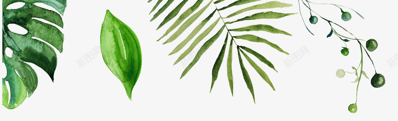 水彩卡通植物种类png免抠素材_新图网 https://ixintu.com 创意 卡通 手绘 新意 植物 水彩 笔刷 设计