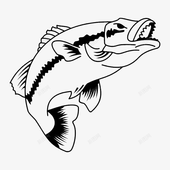 海洋动物png免抠素材_新图网 https://ixintu.com 海洋动物 线描稿 鱼