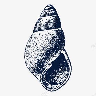 手绘海螺装饰图标图标