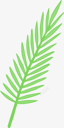 创意绿色植物棕榈叶图素材