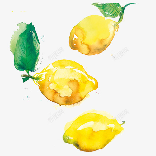柠檬果色彩画片psd免抠素材_新图网 https://ixintu.com 柠檬果 水彩画 水果 绿叶 黄色