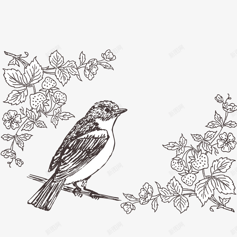 线描花鸟画图标png_新图网 https://ixintu.com 线描 绘画 花 鸟 黑色