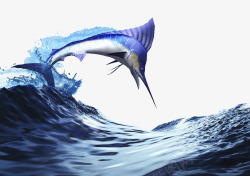 海洋剑鱼跃出海面的剑鱼高清图片