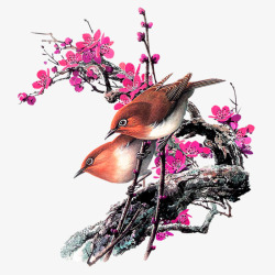 玫红色清新花鸟装饰图案素材