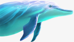 游泳的海豚素材