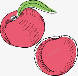 鲜红的水蜜桃手绘水蜜桃矢量图高清图片