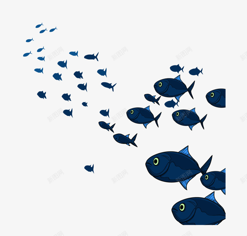 世界海洋日游动的鱼群png免抠素材_新图网 https://ixintu.com 一群鱼 世界海洋日 密集鱼群 涌动 游动的鱼群 蓝色小鱼