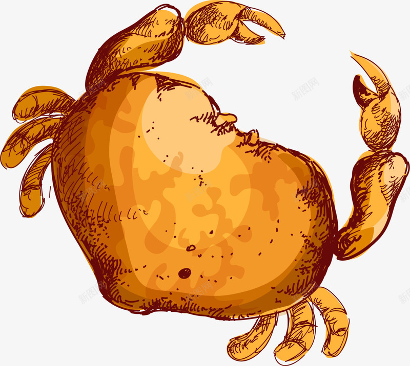 世界海洋日手绘橙色螃蟹png免抠素材_新图网 https://ixintu.com 世界海洋日 手绘螃蟹 橙色螃蟹 海洋生物 绘画 面包蟹