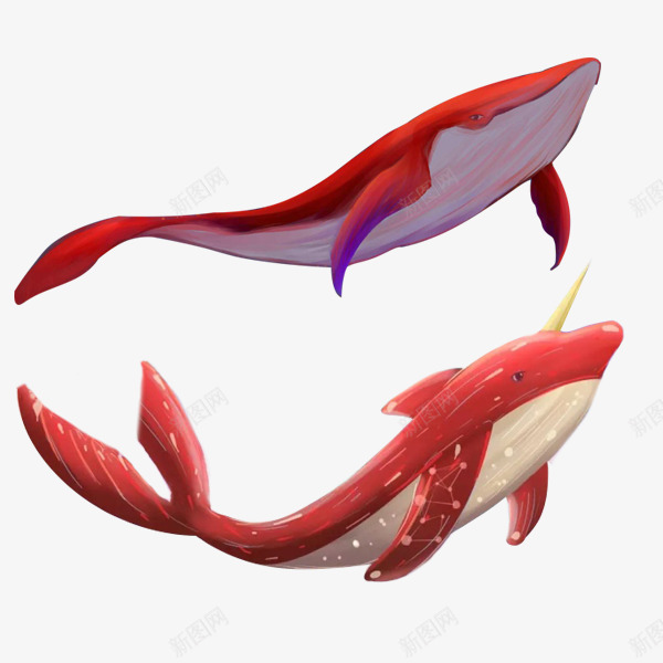 红色海豚手绘psd免抠素材_新图网 https://ixintu.com 哺乳动物 水生动物 海豚 红色 绘画