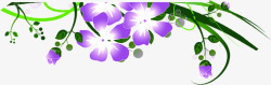 春季紫色花朵藤蔓素材