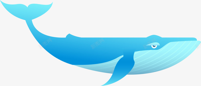 世界海洋日蓝色须鲸png免抠素材_新图网 https://ixintu.com 世界海洋日 哺乳动物 大型鲸鱼 海洋生物 蓝色须鲸 蓝色鲸鱼