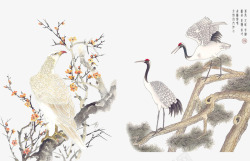 中国风花鸟素材
