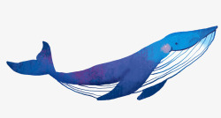手绘水彩装饰插图清新鲸鱼插画素材