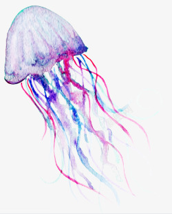 海洋插图水彩海洋生物水母插画高清图片