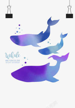 海洋水彩蓝紫色水彩鲸鱼矢量图高清图片
