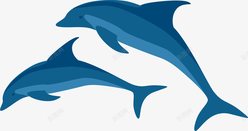 世界海洋日跳起来的海豚png免抠素材_新图网 https://ixintu.com 世界海洋日 可爱海豚 海洋生物 蓝色海豚 跳起来的海豚 跳跃