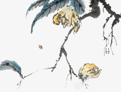 中国花鸟画佛手瓜素材