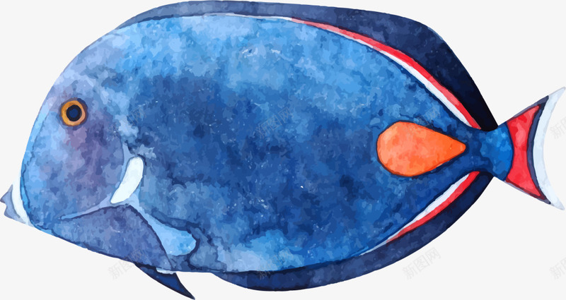 世界海洋日手绘发呆的鱼png免抠素材_新图网 https://ixintu.com 世界海洋日 发呆的鱼 手绘小鱼 水彩 海洋生物 蓝色小鱼