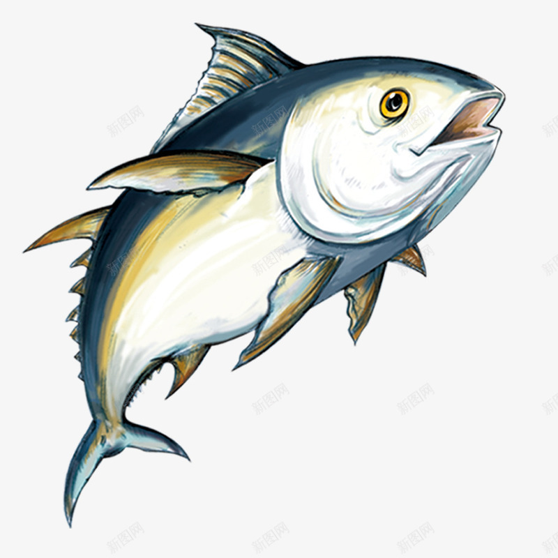 海的元素png免抠素材_新图网 https://ixintu.com 海洋生物 海的元素 海鱼
