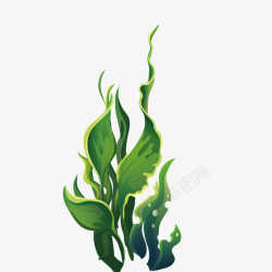 宽叶子绿色宽叶子海洋植物矢量图高清图片