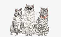 线描装饰画猫咪动物装饰画高清图片