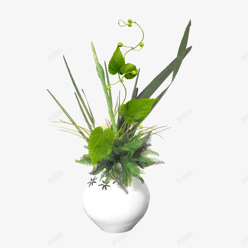 花瓶png免抠素材_新图网 https://ixintu.com 枝桠 白色 绿色 藤蔓