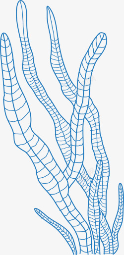 世界海洋日手绘蓝色海草素材