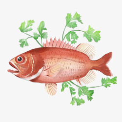 红色植物绘画鱼类图案素材