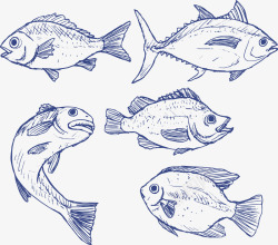 蓝色手绘海洋鱼类矢量图素材