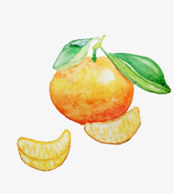 橘囊橘囊和橘子的手绘水彩画高清图片