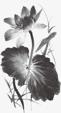 中国风海报黑色绘画植物莲花效果素材