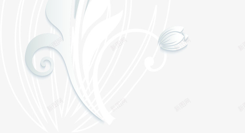 手绘郁金香边框png免抠素材_新图网 https://ixintu.com 图案 手绘 绘画 花儿 花朵 边框装饰 郁金香