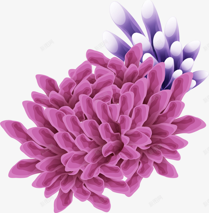 海洋紫色珊瑚png免抠素材_新图网 https://ixintu.com 海洋 珊瑚 紫色