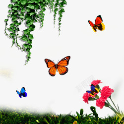 红色彩蝶花草藤蔓与蝴蝶高清图片