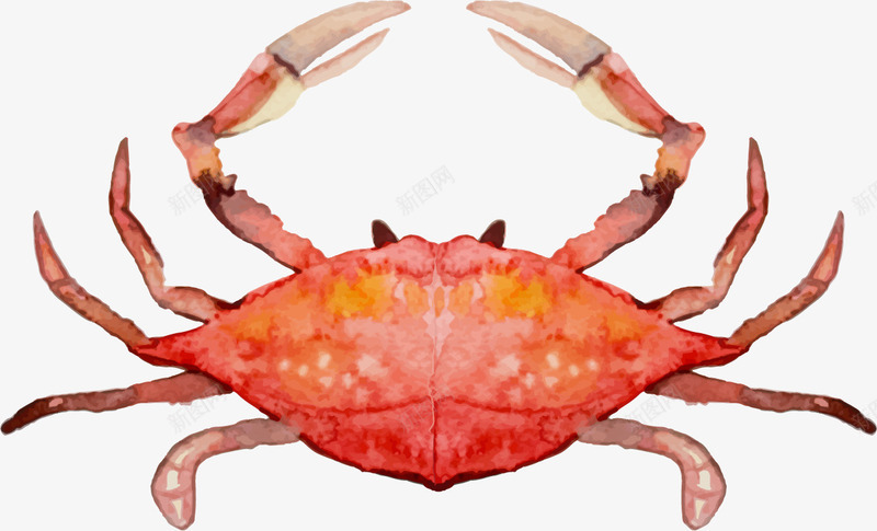 手绘海洋生物螃蟹png免抠素材_新图网 https://ixintu.com 手绘 手绘海洋生物螃蟹 海洋 生物 红色 螃蟹