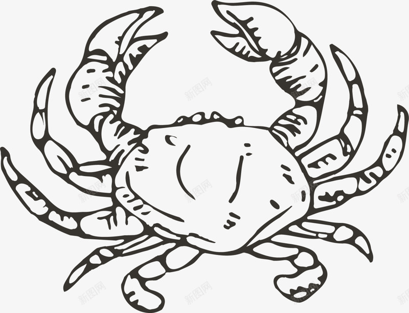 世界海洋日手绘螃蟹图标png_新图网 https://ixintu.com 世界海洋日 大螃蟹 手绘螃蟹 画画 素描 绘画