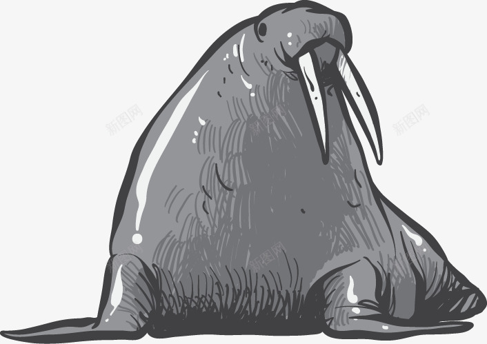 卡通手绘海豹动物png免抠素材_新图网 https://ixintu.com 动物 卡通 手绘 海洋元素 海豹 素描海豹