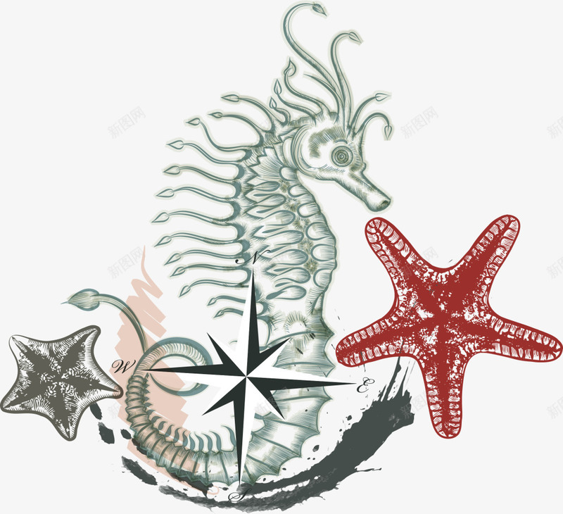 海洋生物海星海马png免抠素材_新图网 https://ixintu.com 手绘 水彩 海洋生物 红色海星 绘画 绿色海马