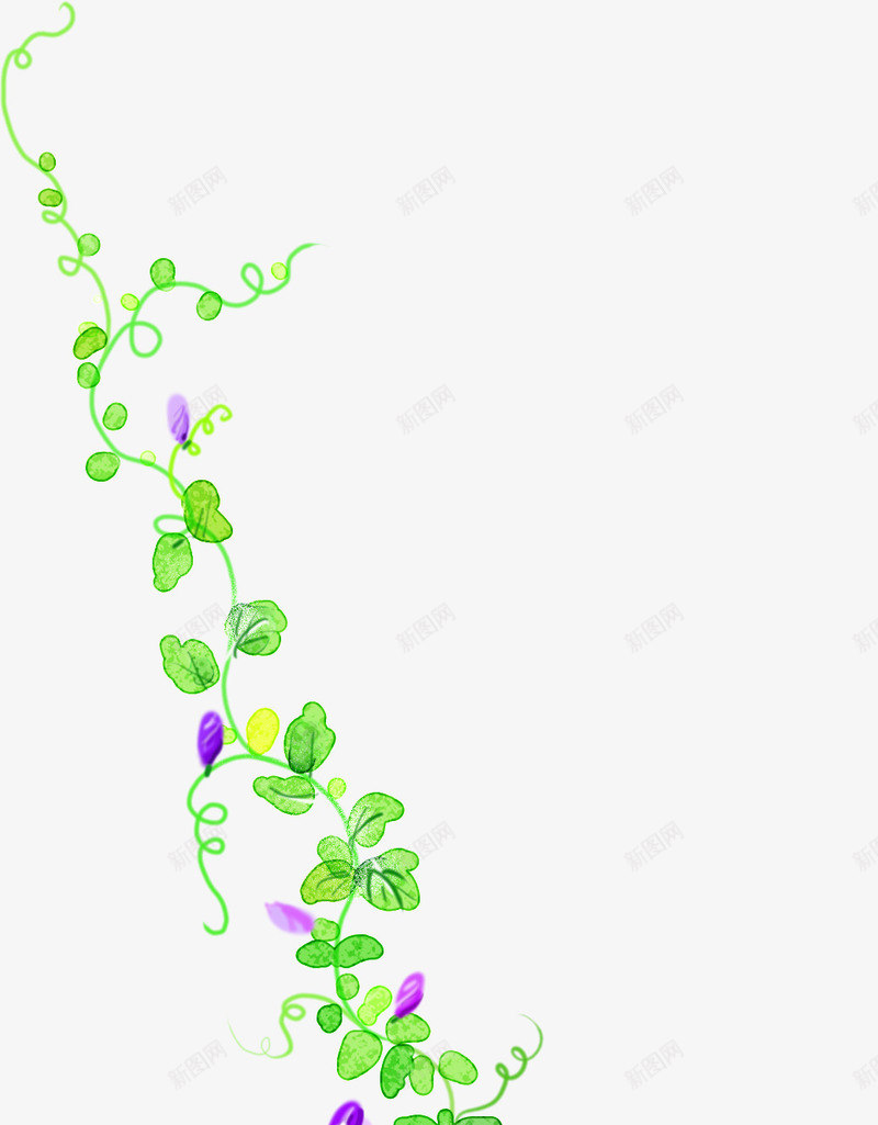 手绘花藤美景植物png免抠素材_新图网 https://ixintu.com 植物 美景