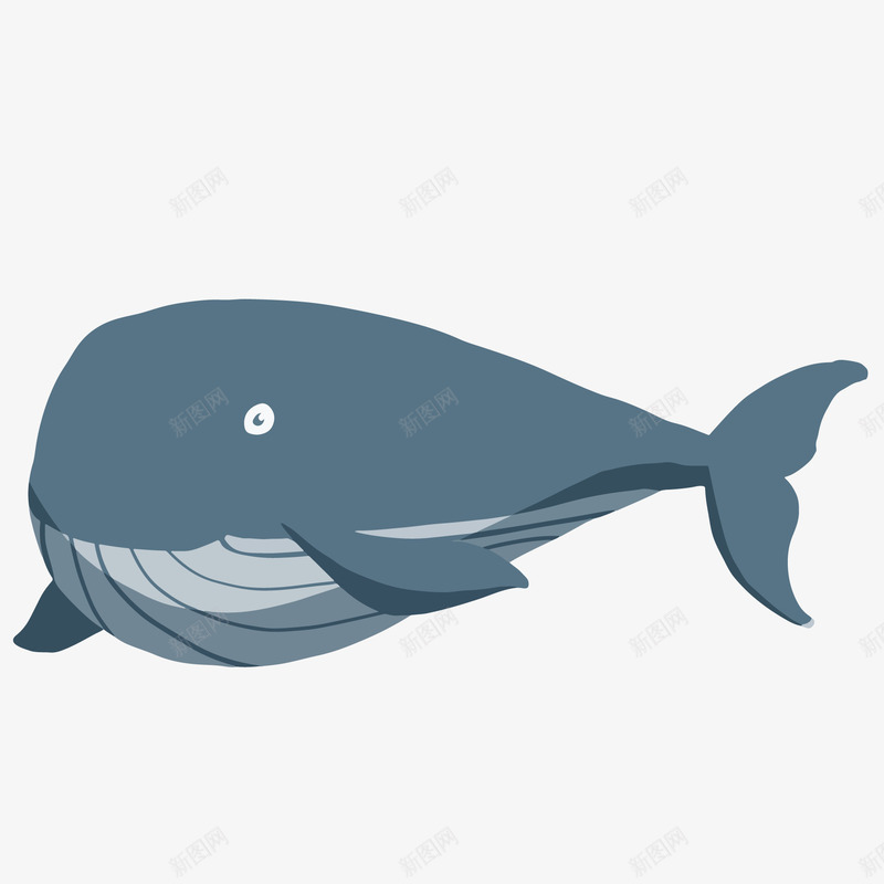 卡通手绘大鲸鱼矢量图ai免抠素材_新图网 https://ixintu.com 动物 标签设计 水族馆 海洋动物 鲸鱼 矢量图