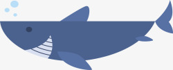 卡通海洋鲨鱼矢量图素材