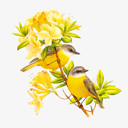 黄色清新花鸟装饰图案素材