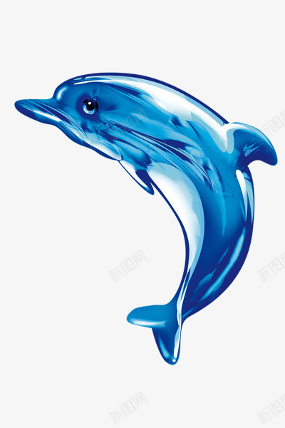水晶海豚png免抠素材_新图网 https://ixintu.com 动物 可爱 色彩 装饰