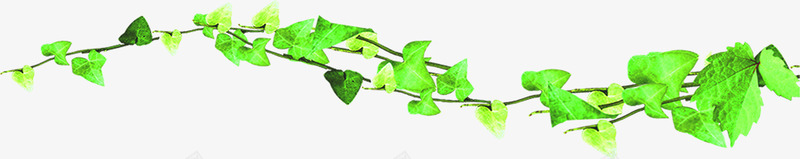 绿色春天藤蔓装饰植物png免抠素材_新图网 https://ixintu.com 春天 植物 绿色 藤蔓 装饰