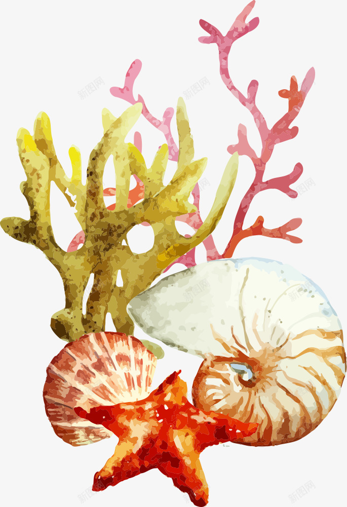 海洋生物插画png免抠素材_新图网 https://ixintu.com 卡通海洋生物 海星 海洋生物 海洋生物插画 海螺